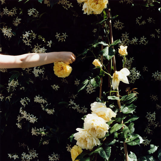 Exhibition & Award: Lydia Goldblatt
