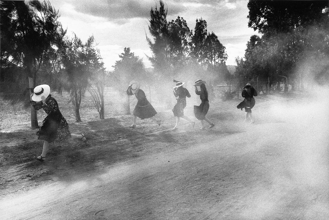 Exhibition: Larry Towell
