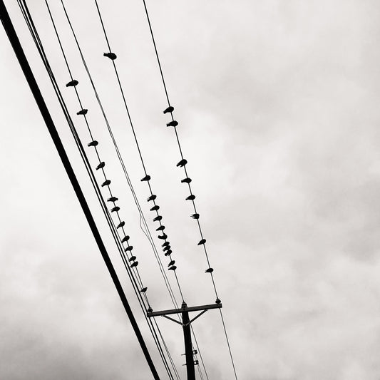 Event and exhibition: Diana Matar