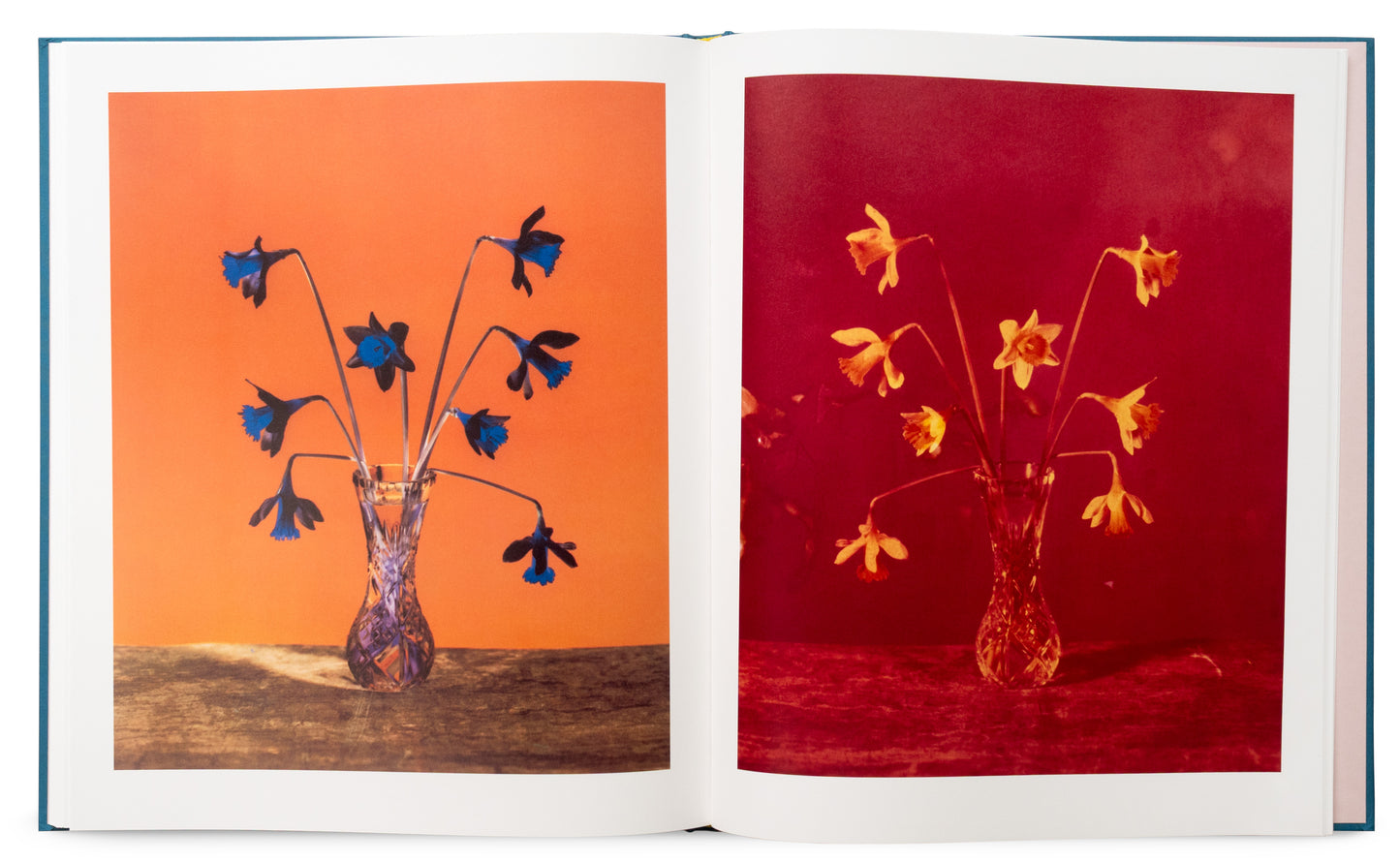 Flowers for Bea - Signed