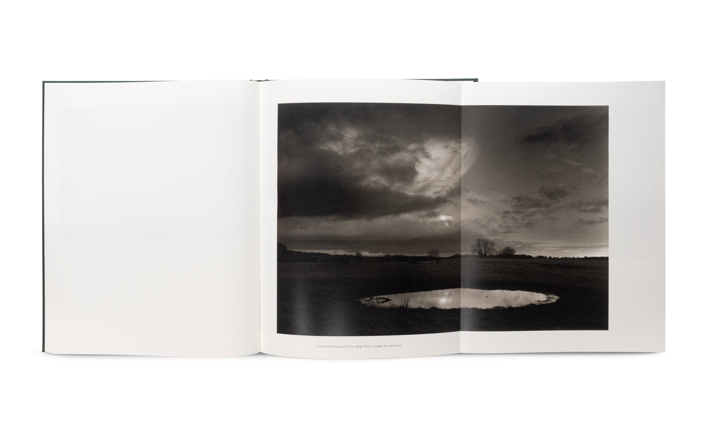 The Stillness of Life - Signed