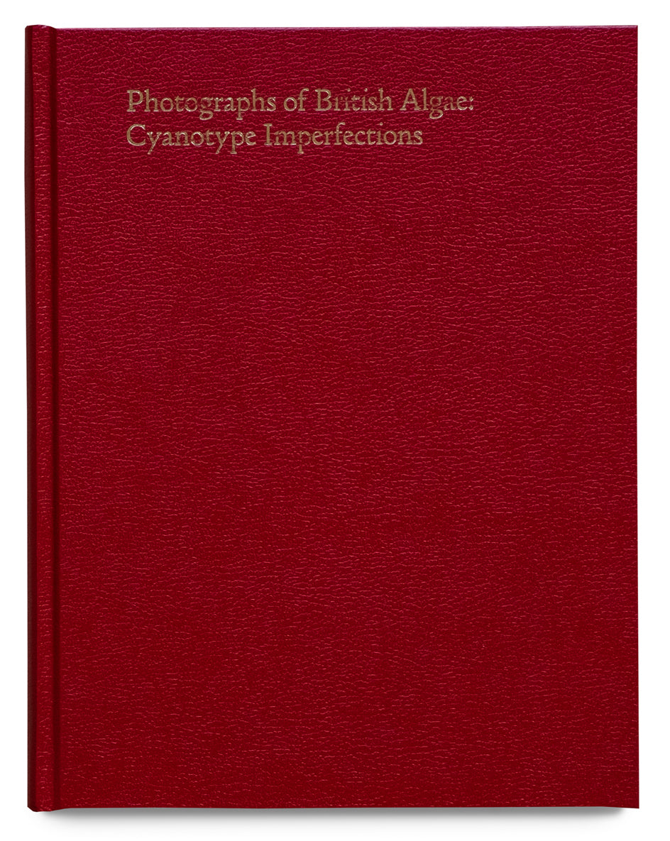 Photographs of British Algae: Cyanotype Imperfections - Signed