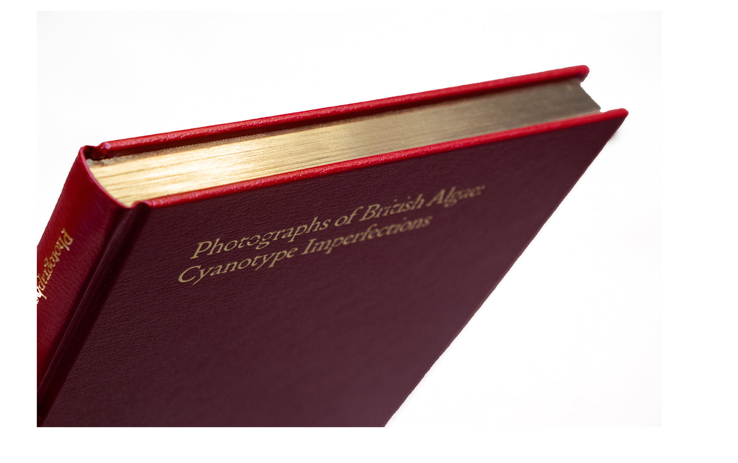 Photographs of British Algae: Cyanotype Imperfections