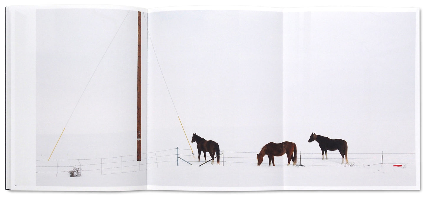 Good Morning, America (Volume III)