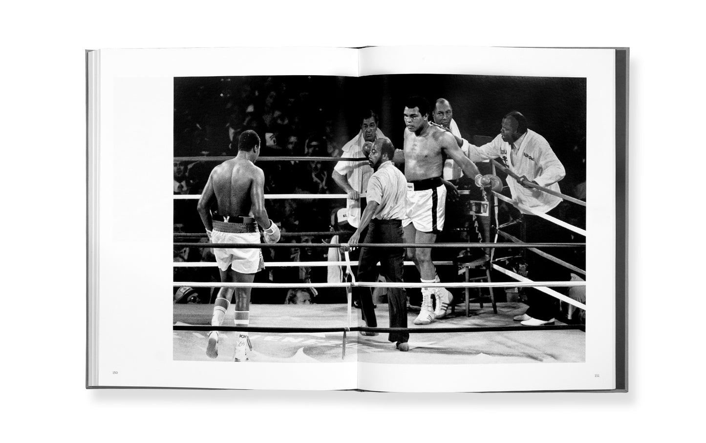The Greatest - Special Edition