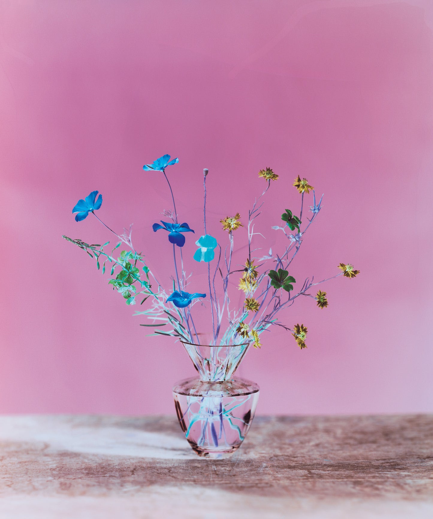 Flowers for Bea - Signed