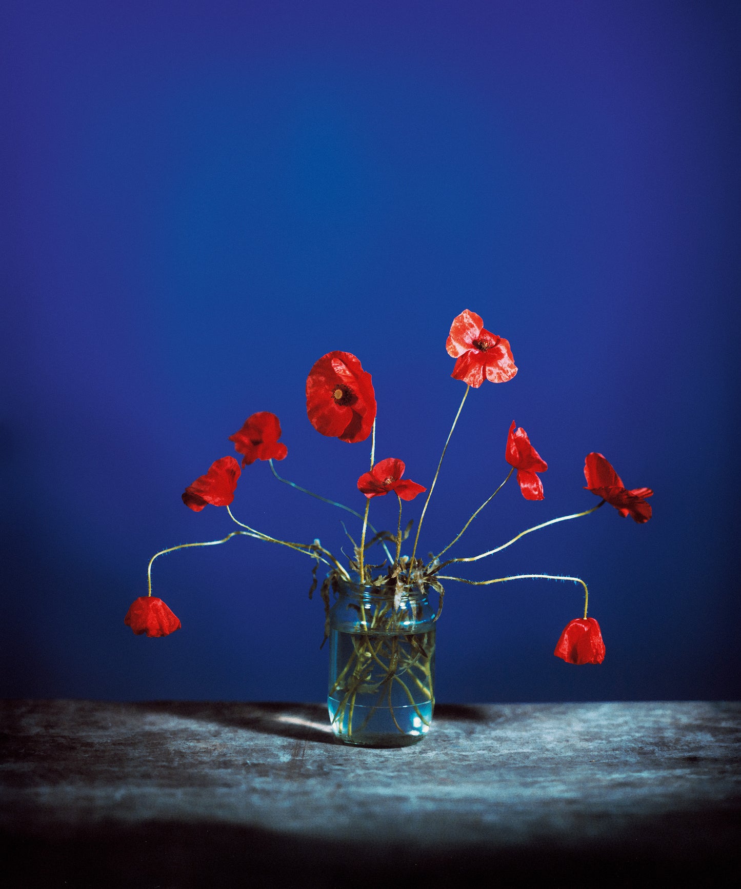 Flowers for Bea - Signed