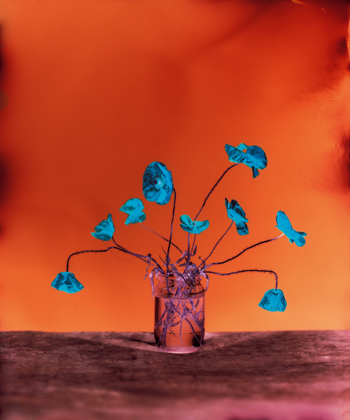 Flowers for Bea - Signed