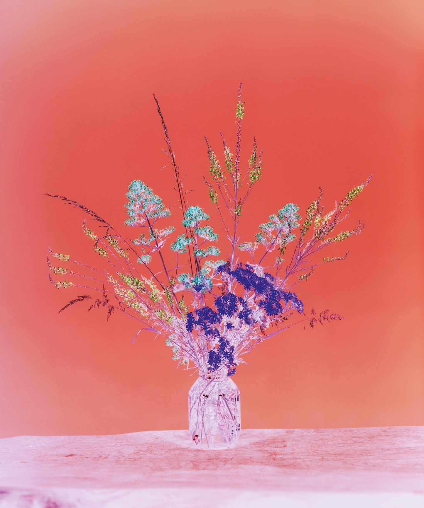 Flowers for Bea - Signed