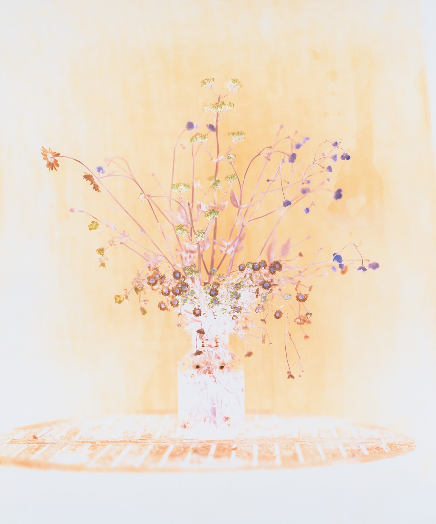 Flowers for Bea - Signed