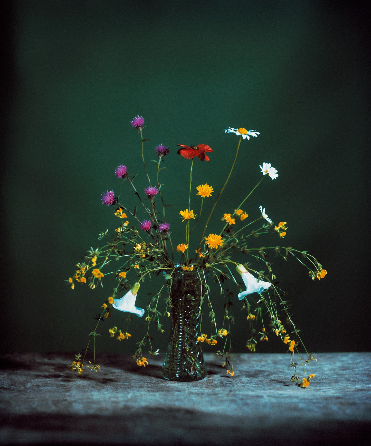 Flowers for Bea - Signed