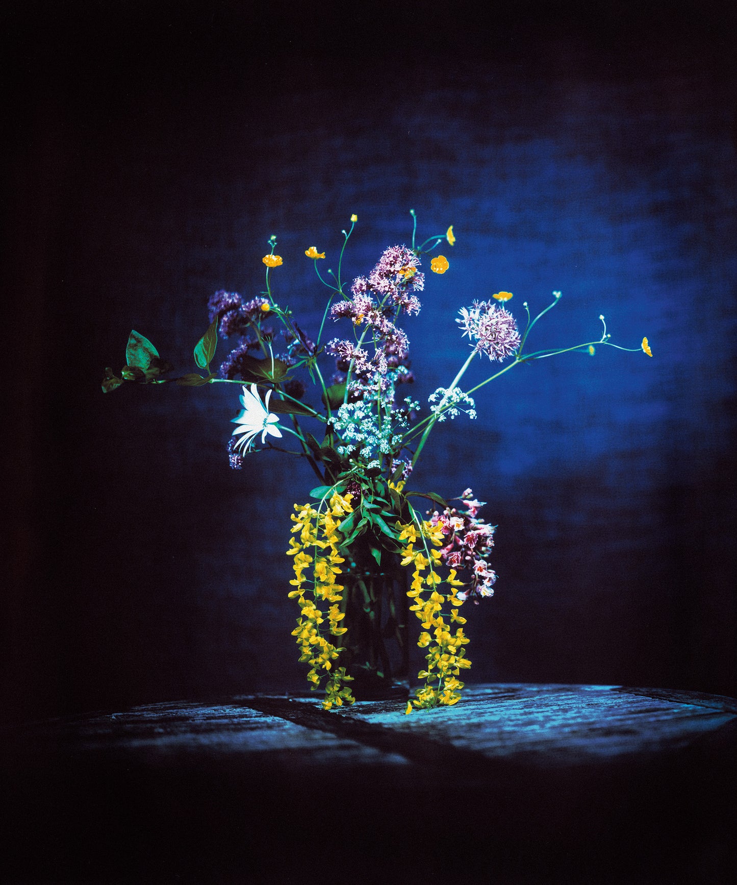 Flowers for Bea - Signed
