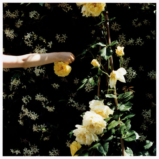 Exhibition and event: Lydia Goldblatt