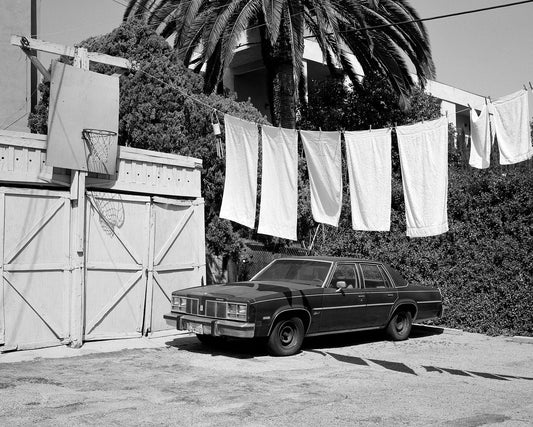 Exhibition: North North South by Ayda Gragossian