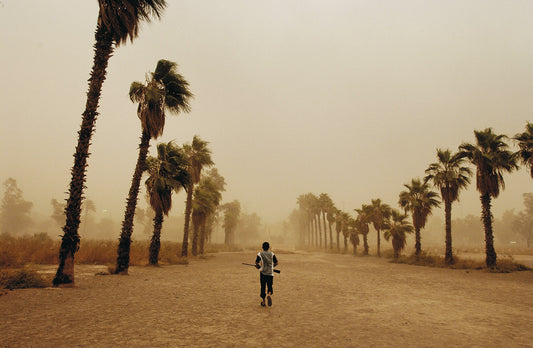 Exhibition and event: Moises Saman