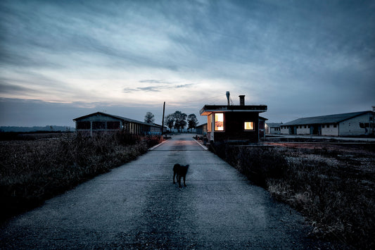 German Photo Book Awards: Cornelia Suhan and Valentin Goppel