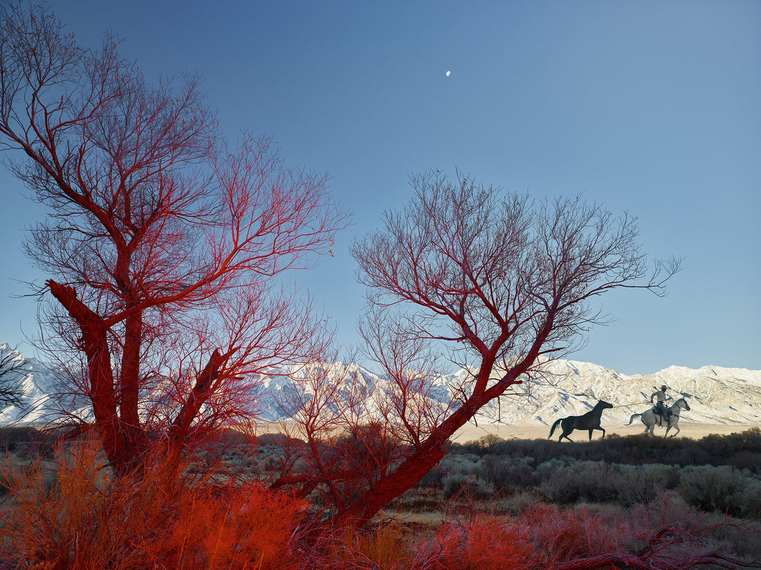 Jim Krantz's 'Frontier' at The National Western
