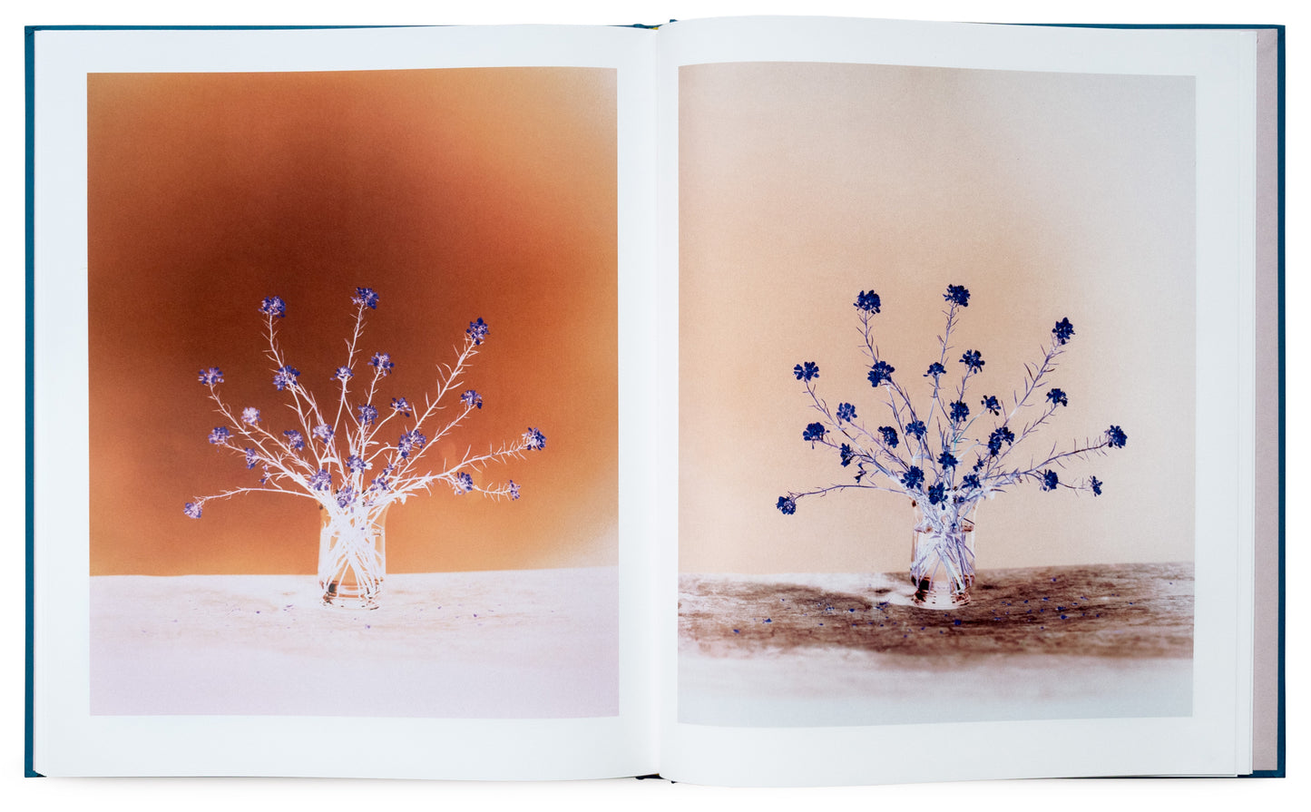 Flowers for Bea - Signed