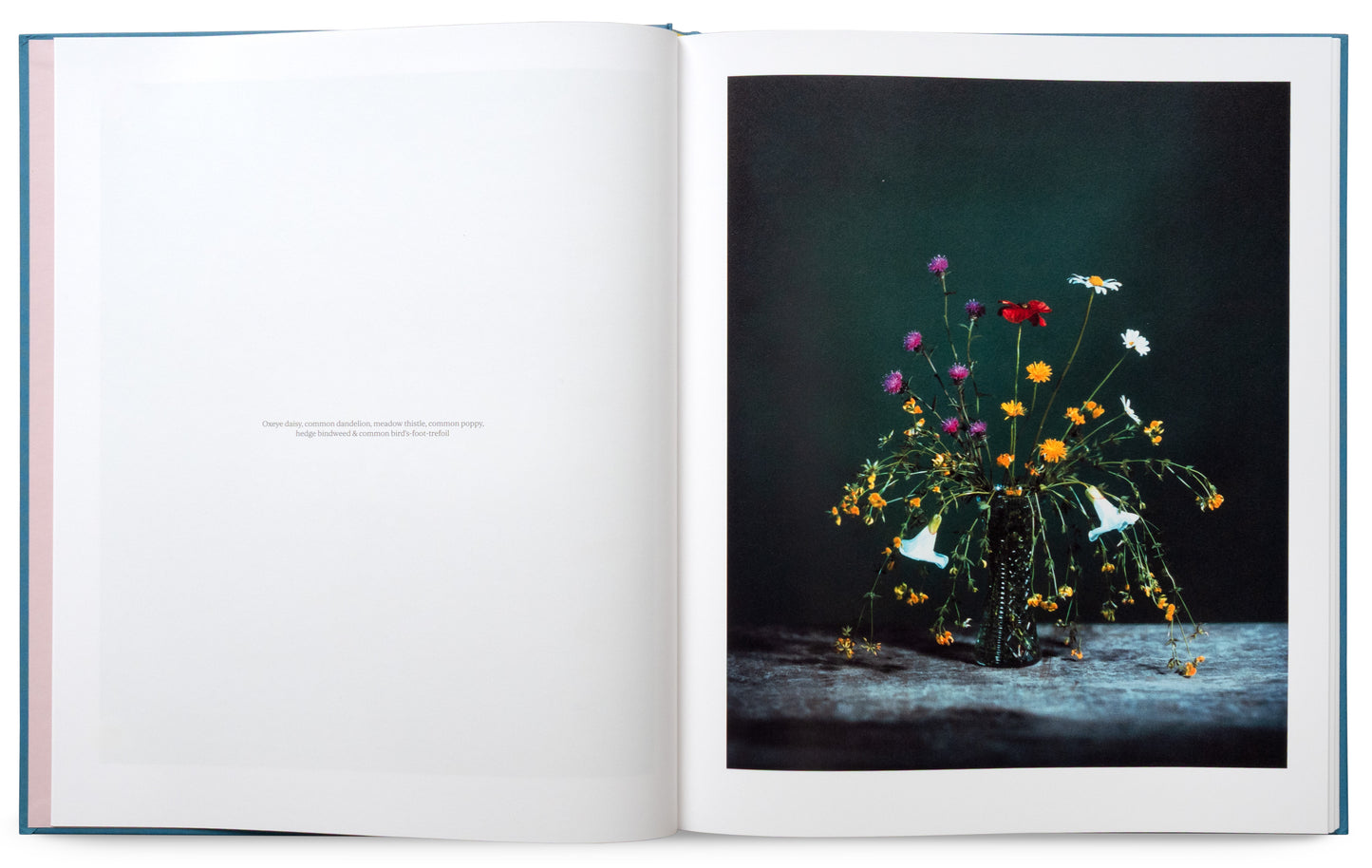 Flowers for Bea - Signed