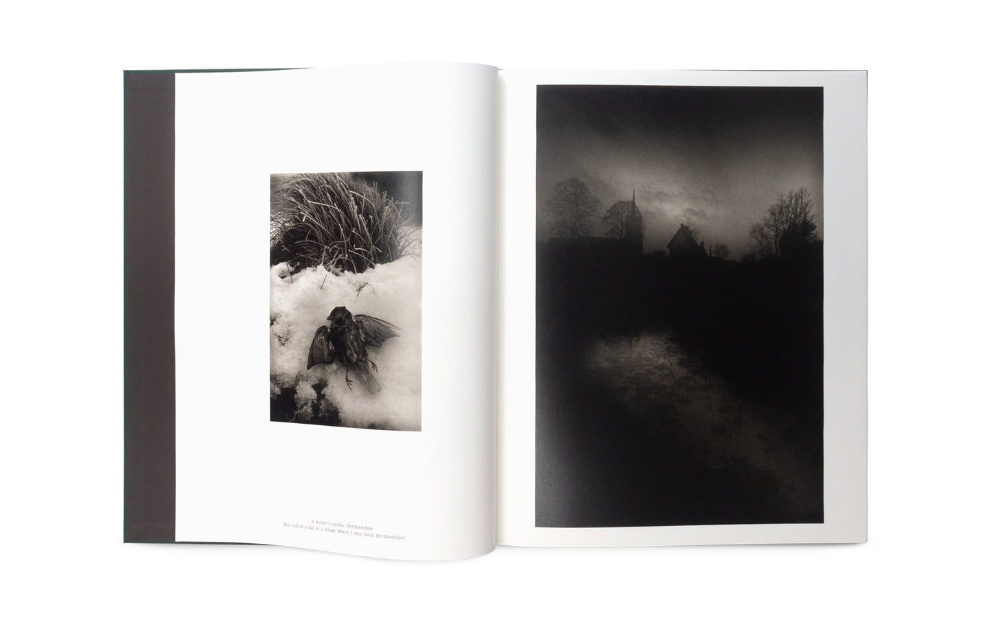 The Stillness of Life - Signed
