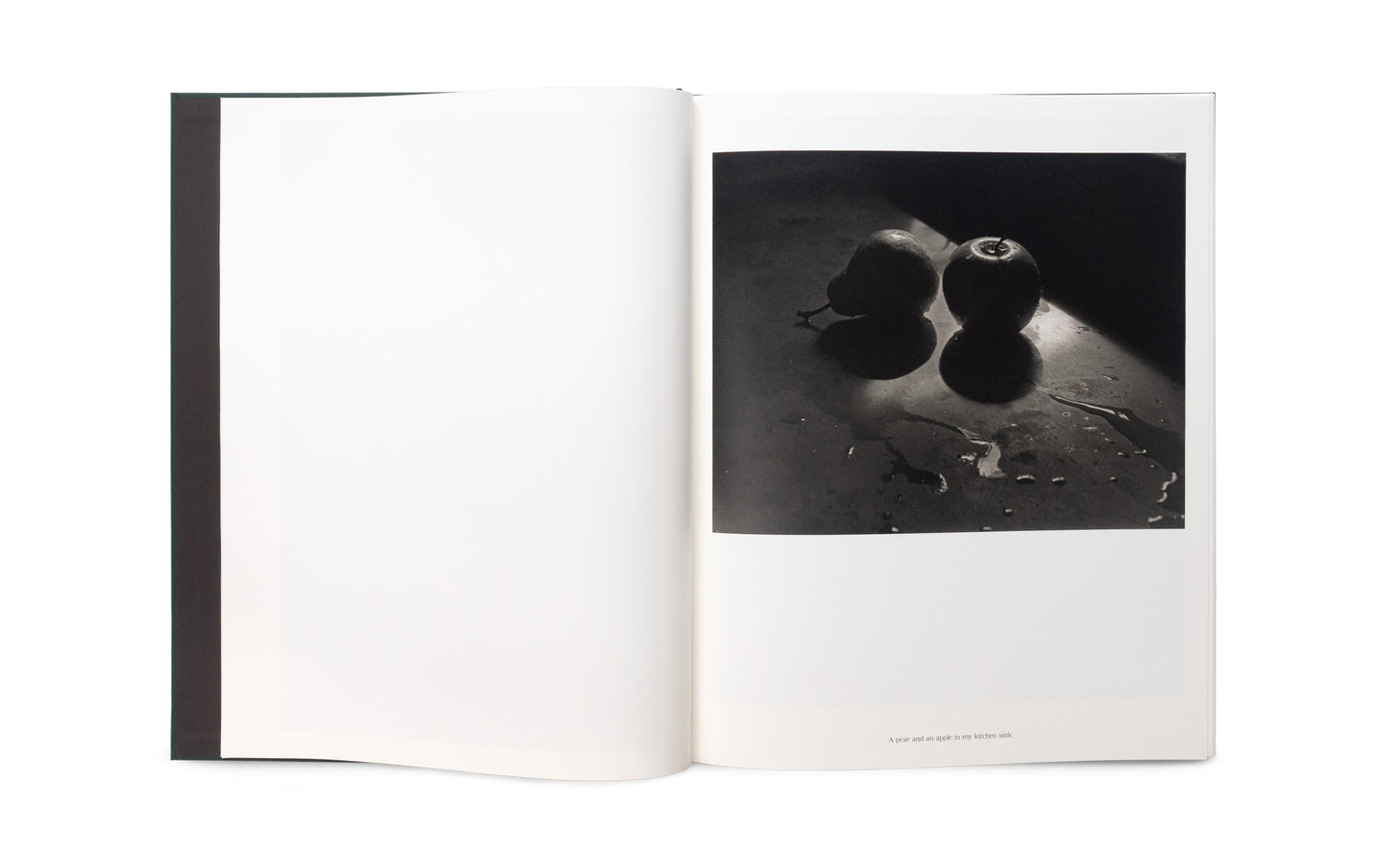 The Stillness of Life - Signed