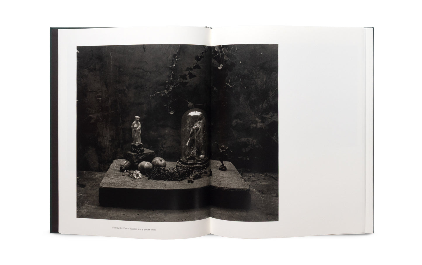 The Stillness of Life - Signed