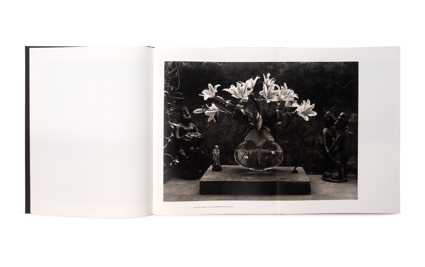 The Stillness of Life - Signed