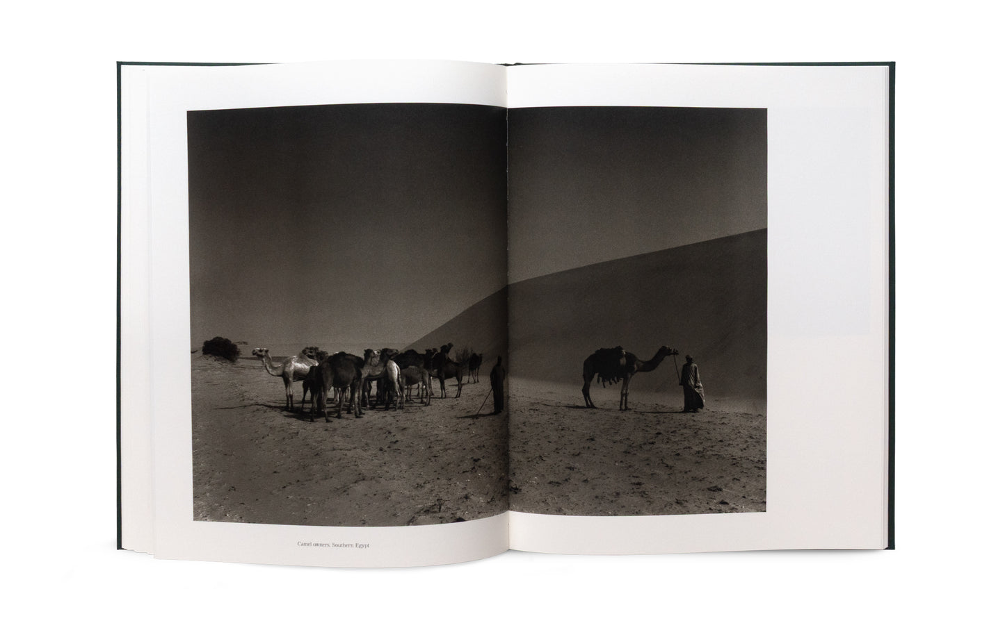 The Stillness of Life - Signed