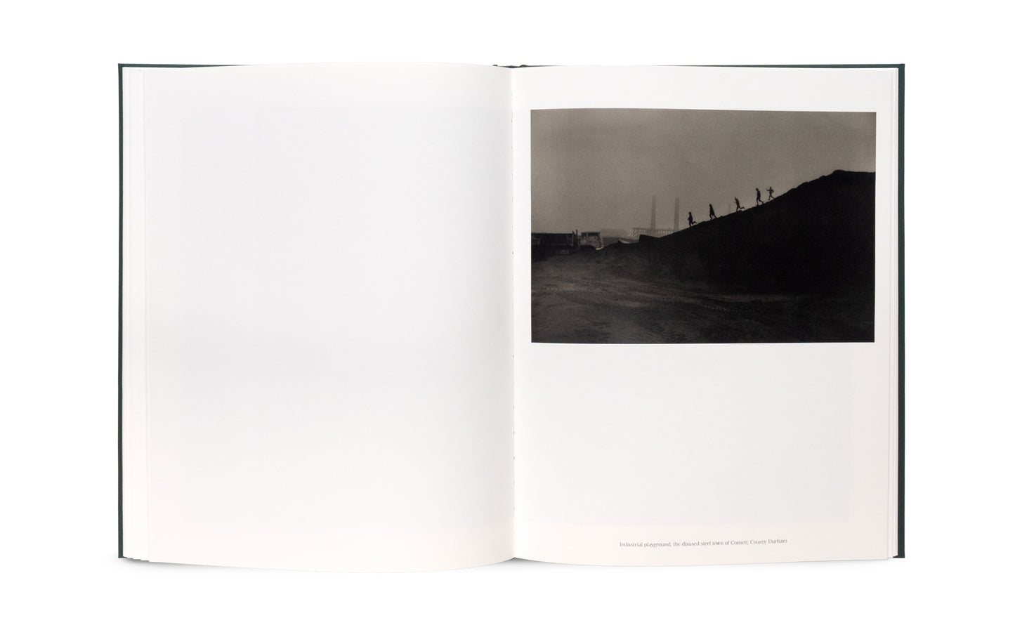 The Stillness of Life - Signed