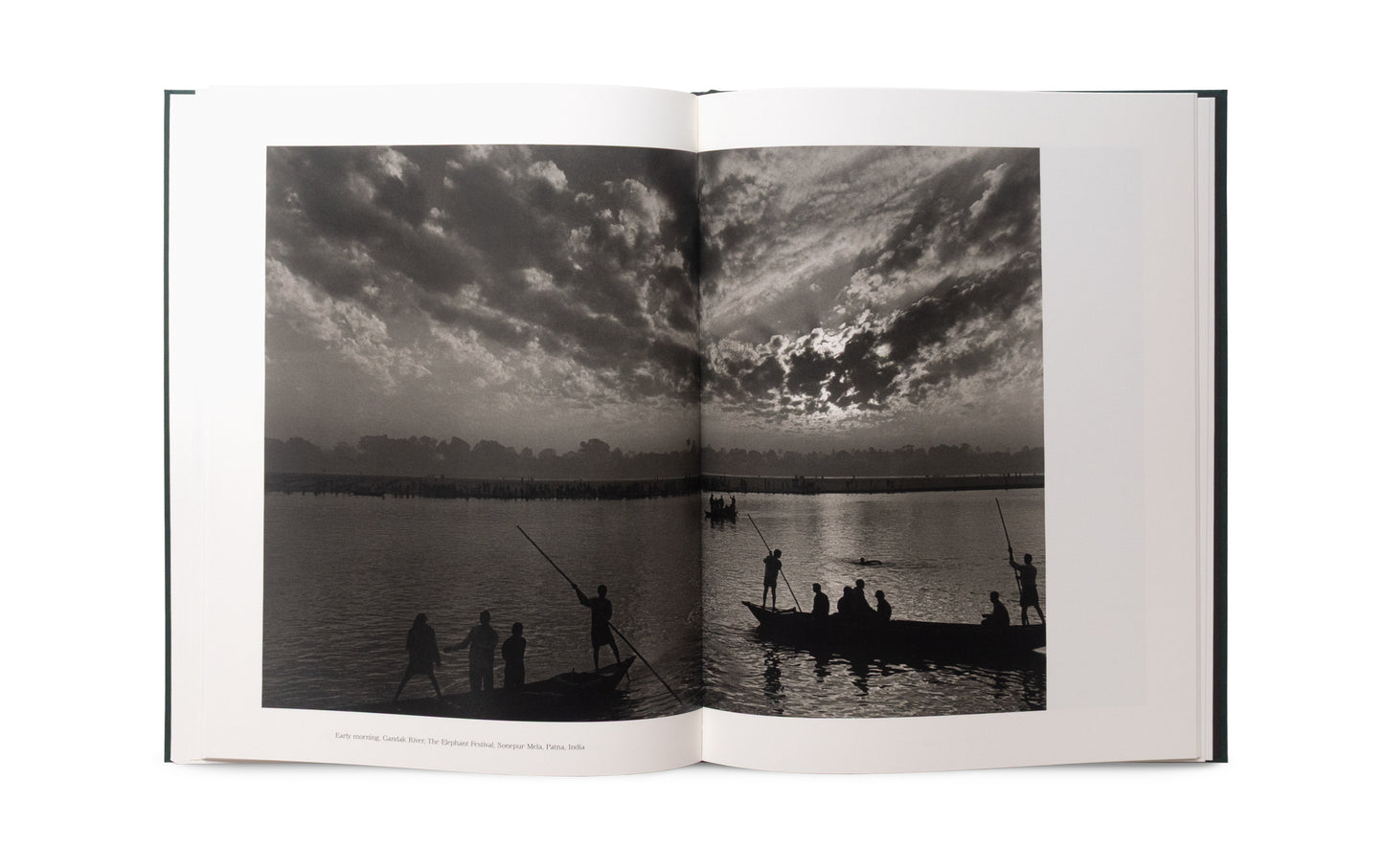 The Stillness of Life - Signed