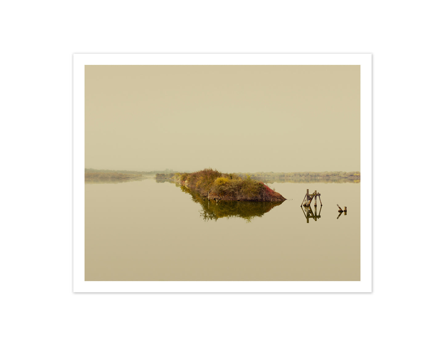 Dark Line – The Thames Estuary - Special Edition