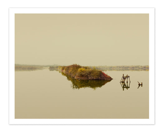 Dark Line – The Thames Estuary - Special Edition