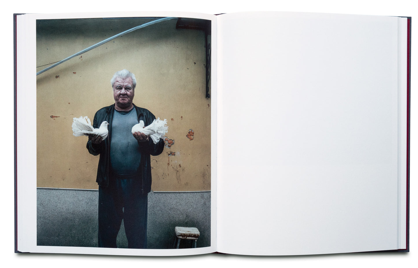 Lonely Are All the Bridges