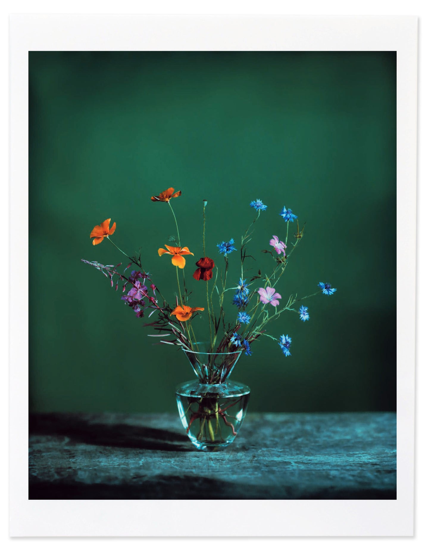 Flowers for Bea - Special Edition