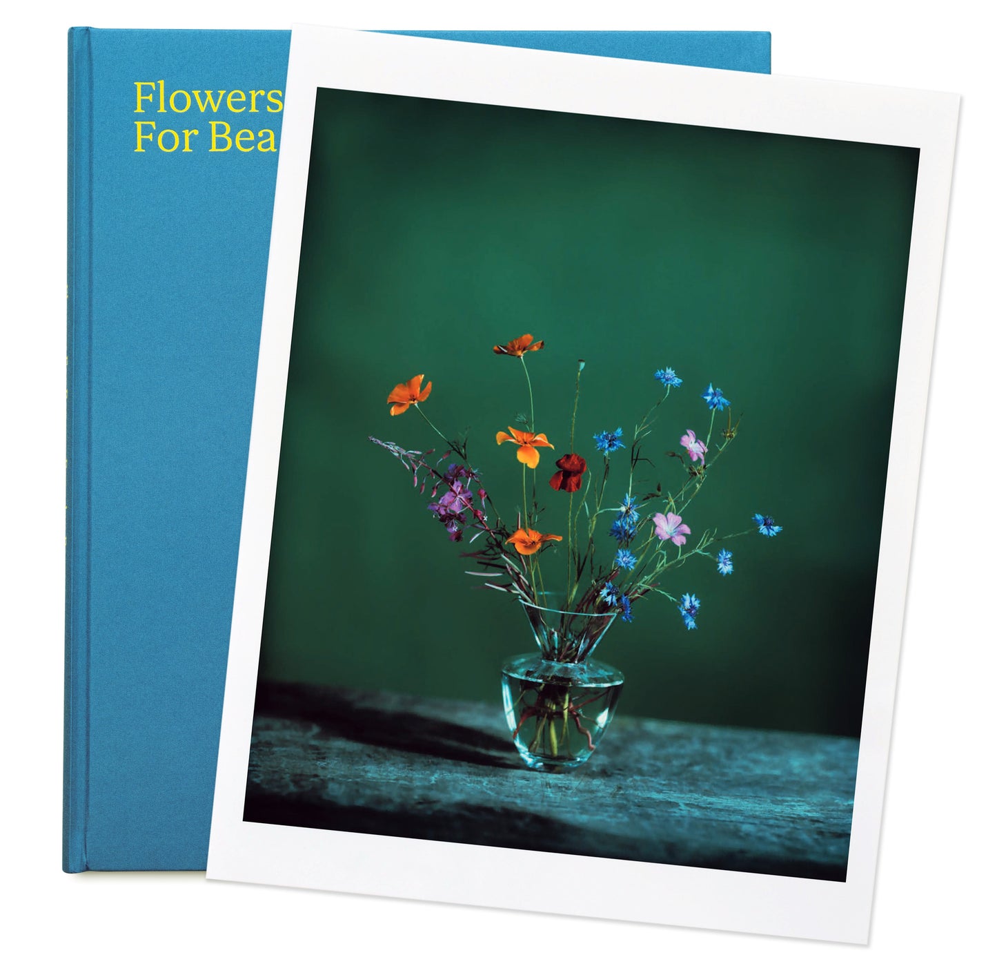 Flowers for Bea - Special Edition