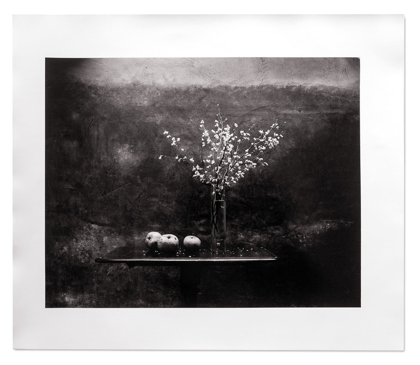 The Stillness of Life - Special Edition