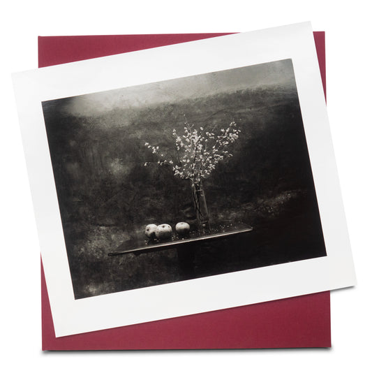 The Stillness of Life - Special Edition