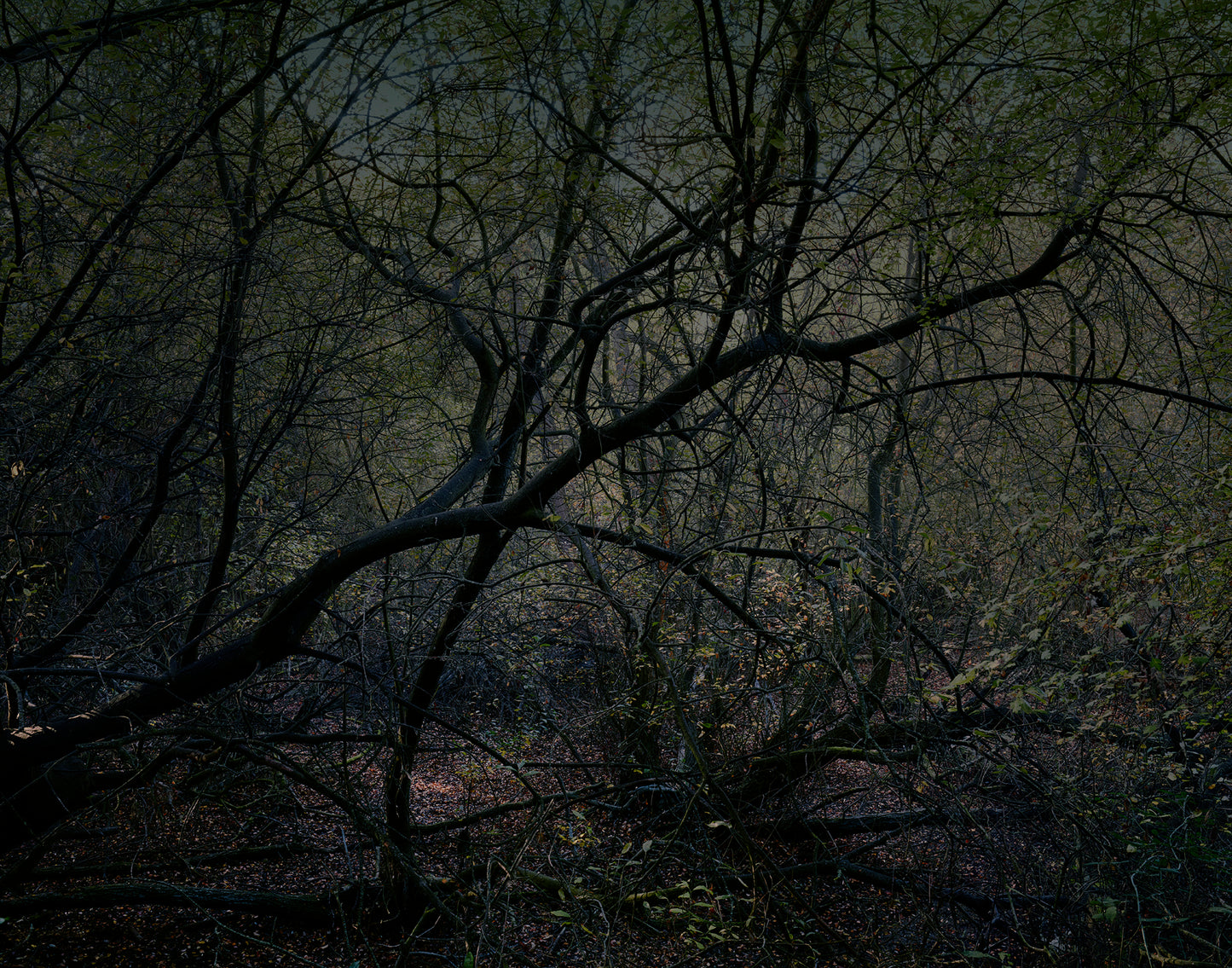 Dark Line – The Thames Estuary