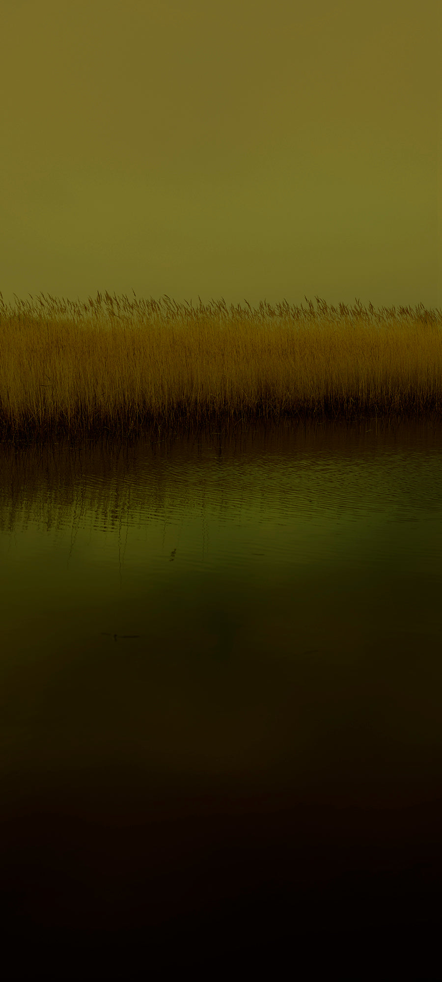 Dark Line – The Thames Estuary