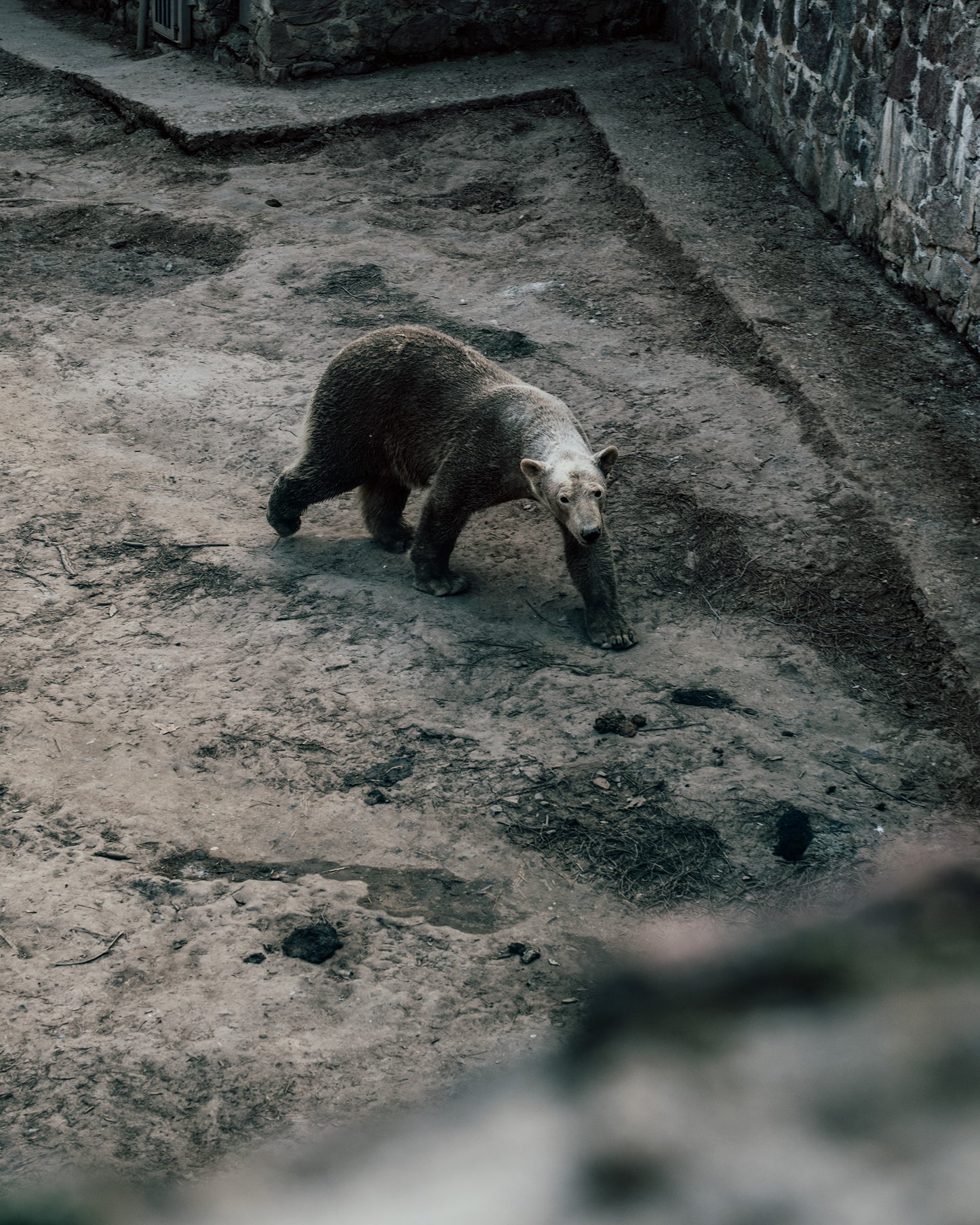 Lonely Are All the Bridges