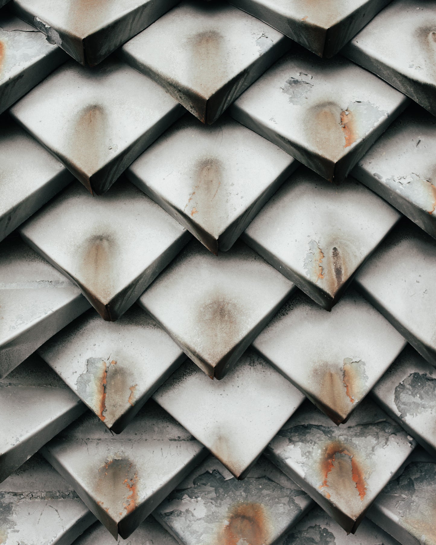 Lonely Are All the Bridges